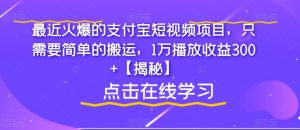 最近火爆的支付宝短视频项目，只需要简单的搬运，1万播放收益300+【揭秘】-最全资源库