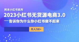 阿本小红书无货源电商3.0，告诉你为什么你小红书做不起来-最全资源库
