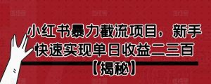 小红书暴力截流项目，新手快速实现单日收益二三百【仅揭秘】-最全资源库