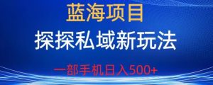 蓝海项目，探探私域新玩法，一部手机日入500+很轻松【揭秘】-最全资源库