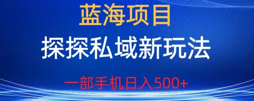 蓝海项目，探探私域新玩法，一部手机日入500+很轻松【揭秘】-最全资源库