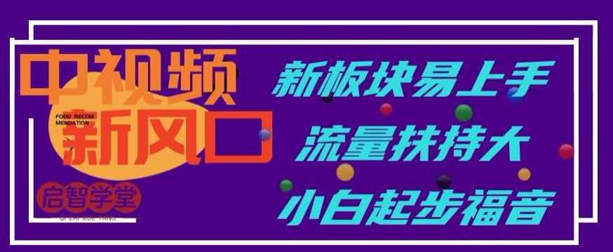 中视频新风口，新板块易上手，流量扶持大，小白起步福音【揭秘】-最全资源库