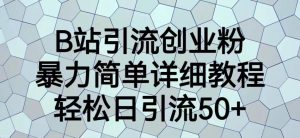 B站引流创业粉，暴力简单详细教程，轻松日引流50+【揭秘】-最全资源库