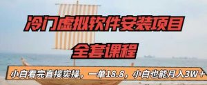 冷门虚拟软件安装项目，一单18.8，小白也能月入3W＋【揭秘】-最全资源库