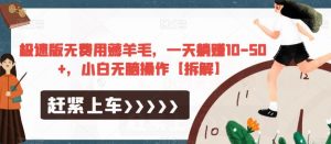 极速版无费用薅羊毛，一天躺赚10-50+，小白无脑操作【拆解】-最全资源库