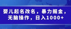 婴儿起名改名，暴力掘金，无脑操作，日入1000+【揭秘】-最全资源库