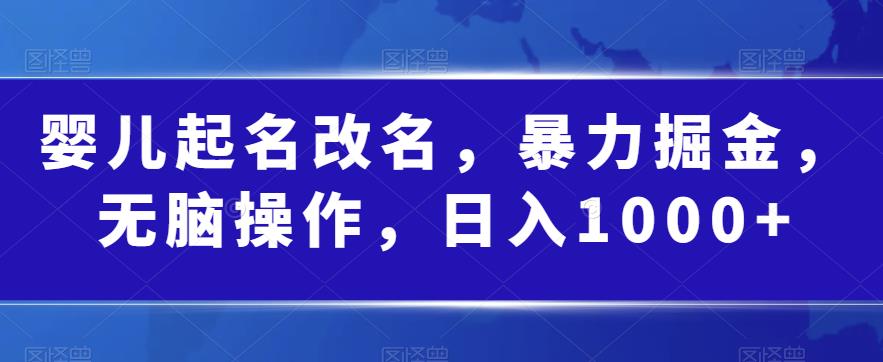婴儿起名改名，暴力掘金，无脑操作，日入1000+【揭秘】-最全资源库