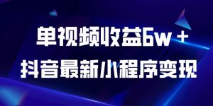 抖音最新小程序变现项目，单视频收益6w＋，小白可做【揭秘】-最全资源库