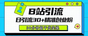 B站引流日引流30+精准创业粉，超详细B站引流创业粉玩法【揭秘】-最全资源库