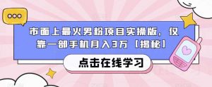 市面上最火男粉项目实操版，仅靠一部手机月入3万【揭秘】-最全资源库