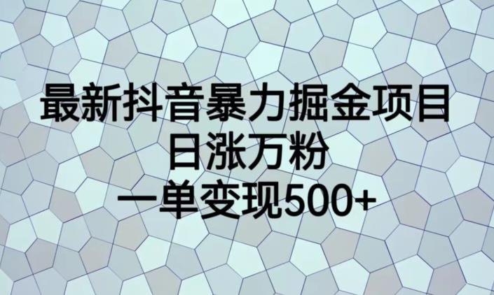 最新抖音暴力掘金项目，日涨万粉，一单变现500+【揭秘】-最全资源库
