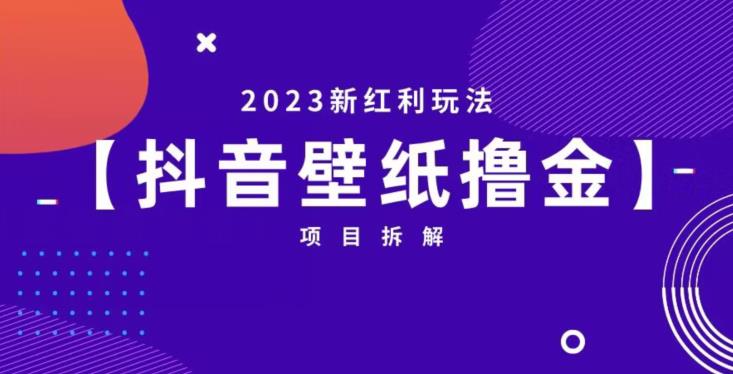 抖音壁纸小程序创作者撸金项目，2023新红利玩法【项目拆解】-最全资源库