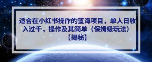 适合在小红书操作的蓝海项目，单人日收入过千，操作及其简单（保姆级玩法）【揭秘】-最全资源库