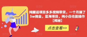 纯搬运项目多多视频带货，一个月搞了5w佣金，蓝海项目，纯小白也能操作【揭秘】-最全资源库