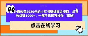 外面收费2980元的小红书壁纸掘金项目，单日收益破1000+，一部手机即可操作【揭秘】-最全资源库