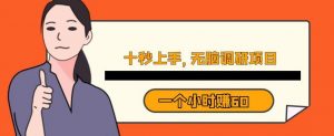 十秒钟上手，一个小时60元暴利无脑调研项目【揭秘】-最全资源库