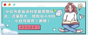 小红书虚拟资料全新思路玩法，流量巨大，轻松日入300+，小白可操作【揭秘】-最全资源库
