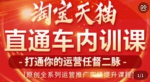 天问电商·2023淘宝天猫直通车内训课，零基础学起直通车运营实操课程-最全资源库