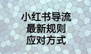 小红书导流最新规则应对方式【揭秘】-最全资源库