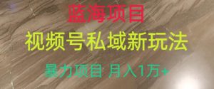 蓝海项目，视频号私域新玩法，暴力项目月入1万+【揭秘】-最全资源库