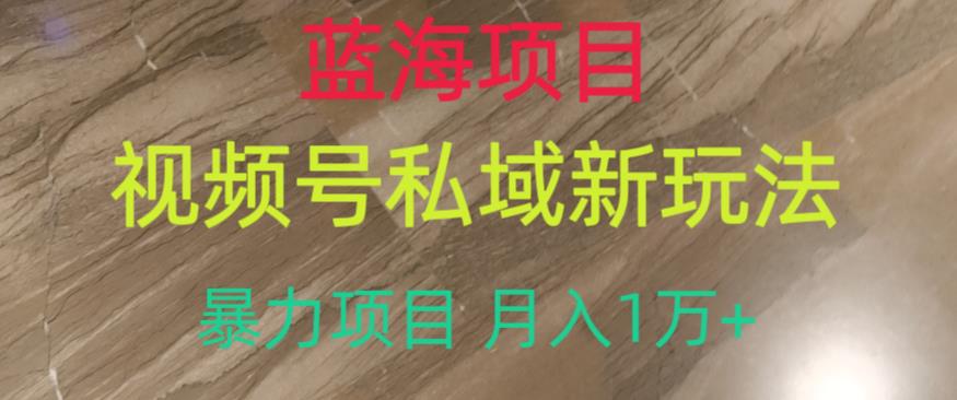 蓝海项目，视频号私域新玩法，暴力项目月入1万+【揭秘】-最全资源库