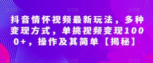 抖音情怀视频最新玩法，多种变现方式，单挑视频变现1000+，操作及其简单【揭秘】-最全资源库