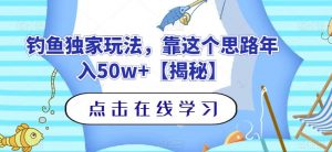 钓鱼独家玩法，靠这个思路年入50w+【揭秘】-最全资源库