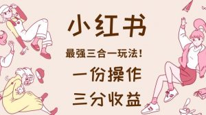 小红书最强三合一玩法，一份操作获得三份收益！【揭秘】-最全资源库