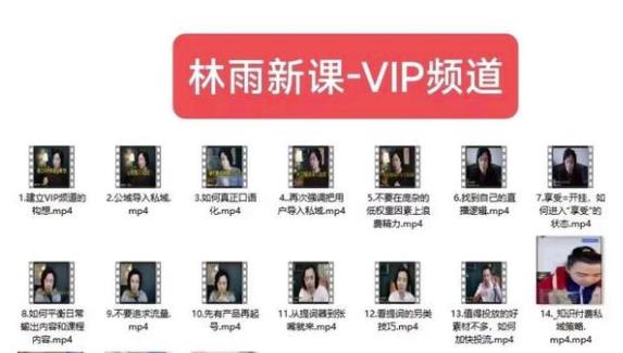 林雨新课VIP频道,玩赚私域/朋友圈/社群-最全资源库