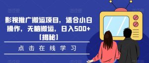 影视推广搬运项目，适合小白操作，无脑搬运，日入500+【揭秘】-最全资源库