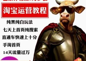 猫老师·淘系算法逆向解密，​纯黑纯白玩法，七天上首页纯搜索，手淘首页14天流量过万-最全资源库