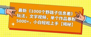 最新《1000个野路子信息差》玩法，文字视频，单个作品暴粉5000+，小白轻松上手【揭秘】-最全资源库