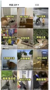 拆解抖音盘点类中视频变现副业项目，视频版一条龙大解析分享给你【视频课程】-最全资源库