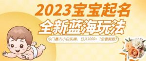 2023宝宝起名全新蓝海玩法，冷门暴力小白实操，日入1000+（全套教程）【揭秘】-最全资源库