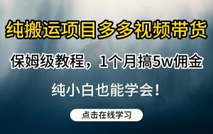纯搬运项目多多视频带货保姆级教程，1个月搞5w佣金，纯小白也能学会【揭秘】-最全资源库