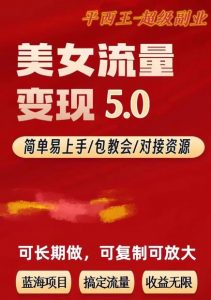 TK美女短视频变现项目无限复制（升级版），全网最高性价比项目【揭秘】-最全资源库