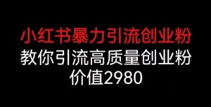 小红书暴力引流创业粉，教你引流高质量创业粉，价值2980【揭秘】-最全资源库