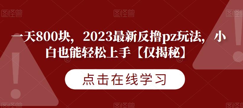 一天800块，2023最新反撸pz玩法，小白也能轻松上手【仅揭秘】-最全资源库