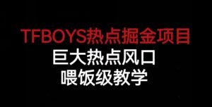 TFBOYS热点掘金项目，巨大热点风口，喂饭级教学-最全资源库