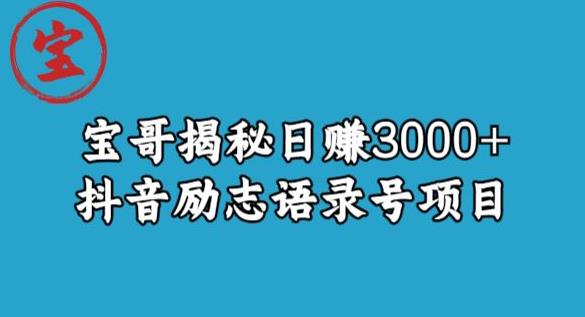 宝哥揭秘日赚3000+抖音励志语录号短视频变现项目-最全资源库