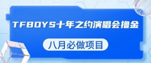 最新蓝海项目，靠最近非常火的TFBOYS十年之约演唱会流量掘金，八月必做的项目【揭秘】-最全资源库