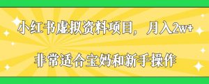 小红书虚拟资料项目，月入2w+，非常适合宝妈和新手操作【揭秘】-最全资源库