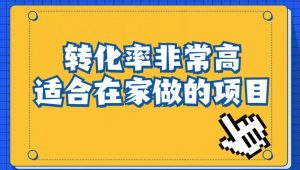 小红书虚拟电商项目：从小白到精英（视频课程+交付手册）-最全资源库