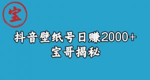 宝哥抖音壁纸号日赚2000+，不需要真人露脸就能操作【揭秘】-最全资源库