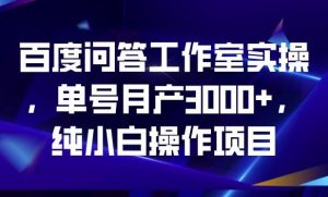 百度问答工作室实操，单号月产3000+，纯小白操作项目【揭秘】-最全资源库