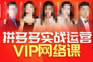 推易拼多多VIP全套直播课程，拼多多店铺实操玩法+实战玩法选款内功+直通车高阶等-最全资源库