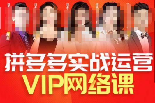 推易拼多多VIP全套直播课程,拼多多店铺实操玩法+实战玩法选款内功+直通车高阶等-最全资源库