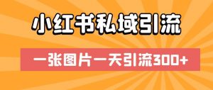 小红书私域引流，一张图片一天引流300+【揭秘】-最全资源库