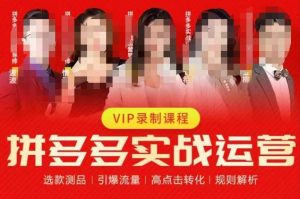 2023推易拼多多实战运营，选款测品、引爆流量、高点击转化、规则解析-最全资源库