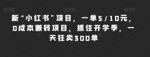 新“小红书”项目，一单5/10元，0成本搬砖项目，抓住开学季，一天狂卖300单【揭秘】-最全资源库